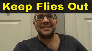 How To Keep Flies Out Of Your House-Easy Methods