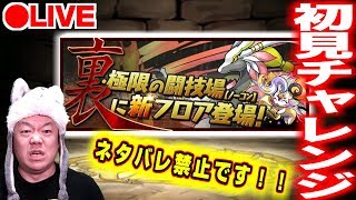 【パズドラ生放送】裏異形を初見チャレンジ放送【視聴者参加型】