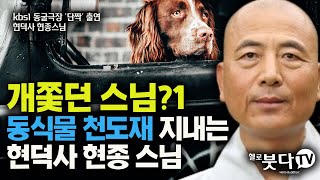 개쫓던 스님?! 동식물 천도재 지내는 현덕사 현종 스님 | kbs1 동물극장 단짝 출연 반려견 | 불교신행 365일 |재업|