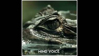 HOW TO SURVIVE CROCODILE/IN TAMIL/MIND VOICE TAMIL/#shorts