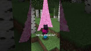 Secret particles in Minecraft🙀 you didn't know➡️subscribe♥️ #minecraft
