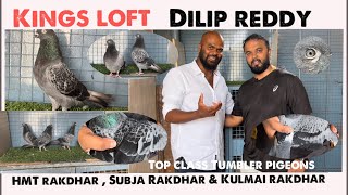 Kings Loft Dilip reddy ,top class HMT Rakdher , Kulmai Rakdher and subja rakdher