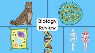 Life Science and Biology Year in Review - Cells-Genetics-Evolution-Symbiosis-Biomes-Classification