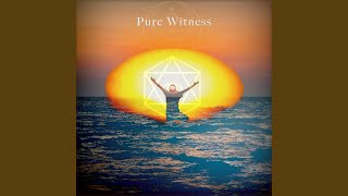 Pure Witness