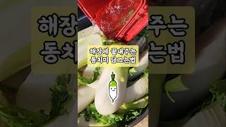 동치미 맛있게 담는법, 시원하게 속풀어주는 동치미(#동치미담그는법 #김장 #김치)