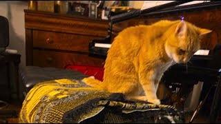 [LIVE] TAKING REQUESTS - JoeBrunoBass in the Living Room with Christine, Olivia and Lionel