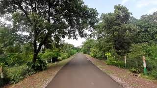 Sheopur Kuno Forest scenery