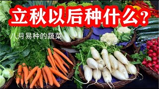 Vegetables that can be grown in August