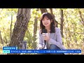 大美河山 共同家园 「央视财经评论」20211013 cctv财经