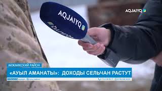 «АУЫЛ АМАНАТЫ»:  ДОХОДЫ СЕЛЬЧАН РАСТУТ