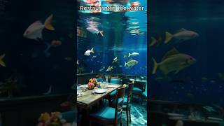 Restaurant in the Water |  Irene