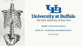 ANA407 - Class 2.3 - Introduction to the Vertebral Column