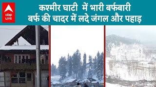 Kashmir Snowfall: Kashmir में अभी भी जारी बर्फ का कहर, बर्फ की सफेद चादर से ढके जंगल और पहाड़