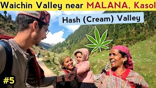 This Hash Valley of Himachal really have peace ☮️ (Waichin, Malana)