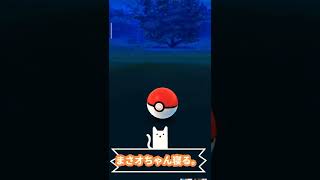 【ポケモンＧＯ】やっと逢えたね色違いラッキー花かざり。【2022.04/17追憶】