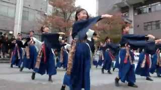 櫻嵐洛　2014.11.8　2012年度演舞　遠海　立命館大学　学園祭　衣笠　小ステージ