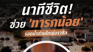 นาทีชีวิต! ช่วย ‘ทารกน้อย’ รอดน้ำท่วมใหญ่บราซิล