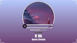 Aaron Strosin - U Ok | Top Hit Music