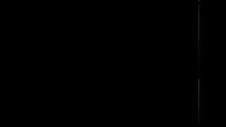 jackass 4 kids vid 2