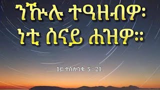 Meazu Tube is live ሰላም ከመይ ቀኒኩም