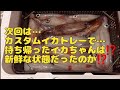 イカが釣れない状況で…差をつける⁉️えぎは⁉️これだ‼️【オモリグ u0026イカメタル】で頑張った結果‼️衝撃の結末が⁉️😭2022.6月中旬