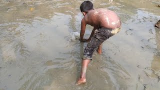 Best Hand Fishing - Village Little Boy Catching Fish By Hand In Mud Water - R Villagers