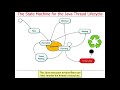 Managing the Java Thread Lifecycle (Parts 1 and 2)
