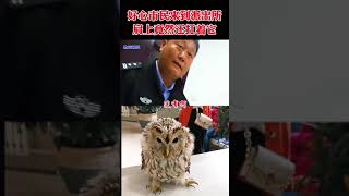 男子捡到猫头鹰肩扛送到派出所 The man picked up the owl and carried it to the police station