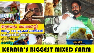 ഇതുവരെ കണ്ടിട്ടുണ്ടാവില്ല ഇങ്ങനൊരു ഫാം  A BIG MIXED FARM IN KERALA