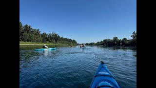 Willamette River Trail - 28 miles of Paddling! Bald Eagles \u0026 More