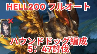 【グラブル】光古戦場　HELL200　クリイルノートなし　光極致ハウンドドッグ　5:47 討伐 (11ターン)