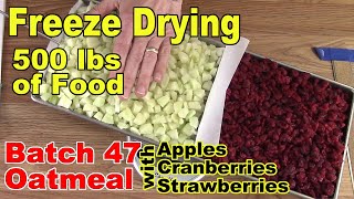 Freeze Drying Your First 500 lbs - Batch 47 - Dry Oatmeal with Fruit, Part 2 of 2 (with rehydrating)