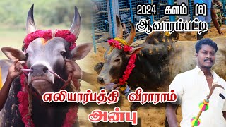 2024 - திருச்சி மாவட்டம் ஆவாரம்பட்டி ஜல்லிக்கட்டு | எலியார்பத்தி வீராராம் அன்பு காளை | #jallikattu