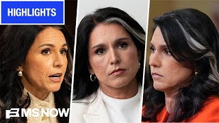 Tulsi Gabbard’s CONTENTIOUS time as Director of National Intelligence | MS NOW Highlights