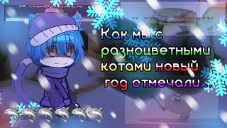 ☃️❄️Как мы новый год с разноцветными котами отмечали...