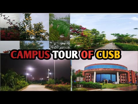 Central University Of South Bihar Greenery Campus Cusb Campus Tour