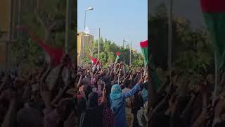 سودانيون في بورتسودان يحتفلون بإعلان الجيش السوداني دخول قواته إلى ود مدني عاصمة ولاية الجزيرة