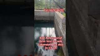 8.30 Acre coconut farm land for sale Udumalpet bus stop In 1.5 km 4BHK farm house #shorts