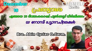 പ്രത്യാശ /എങ്ങനെ 25 ദിവസംകൊണ്ട് മനോഹരമായ ഒരു പുൽക്കൂട് ഉണ്ടാക്കാം/Br.Abin Cyriac O.Carm./December 18