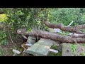 haunted place in griffith park picnic table 29. la mesa picnic con una historia de miedo