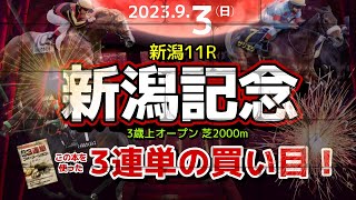 新潟11R 【G3新潟記念2023】の3連単の買い目