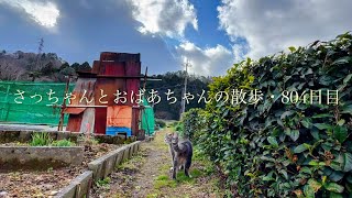 2025.2.3(月)《一日の記録》立春の朝..  今日から始まる一年に想いを馳せる猫…【さっちゃんとおばあちゃんの散歩・804日目】・・・