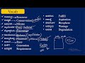 civil psi 402 u0026 rsi 70 post translation ಭಾಷಾಂತರ ಕ್ಲಾಸ್ 4