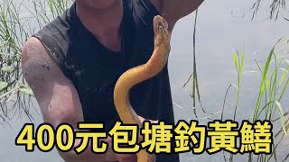 抓泡鱔的季節來了，沒想到這塘里鱔魚這麼多，老闆直呼要退錢#真實戶外#戶外抓鱔#戶外釣鱔