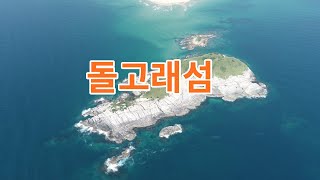 고성 죽도.송지호해변.돌고래.대나무