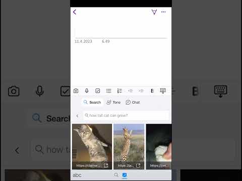 ¿Cómo utilizar la búsqueda de Bing en Swift Keyboard? #bermudas