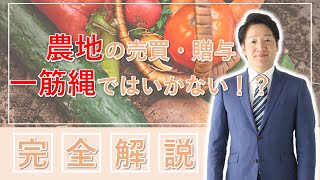 農地の売買・贈与は、一筋縄ではいかない！？押さえておくべきポイントとは？