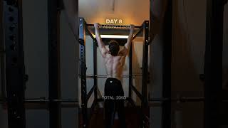 Day 8 of Adding 2.5 kg to My Pull-Up