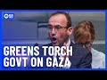 Greens Call For Recognition Of Palestinian Statehood | 10 News First