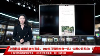 上海惊现被遗弃宠物盲盒，100多只猫狗奄奄一息！快递公司回应：已报警